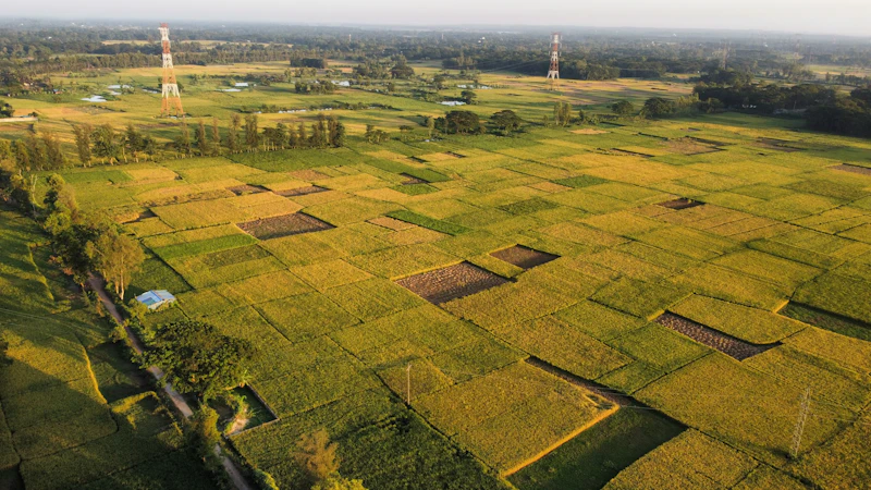 alsintan harapan petani atau manuver pasar elit bedah fakta