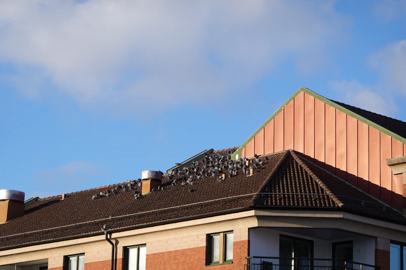 antrean plts atap membludak energi bersih di pusaran regulasi