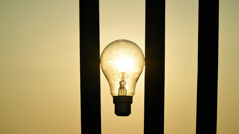 bahlil bbm subsidi manuver elit energi