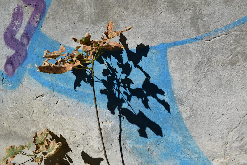 global chaos bayang bayang elang amerika menghantui kedaulatan