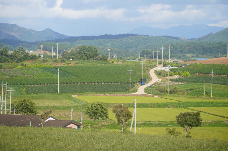 hilirisasi batubara janji pangan atau ironi lingkungan siswacana
