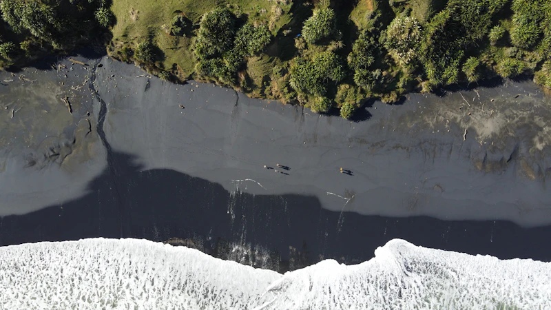 laut tercemar bbm mencekik ironi tumpahan minyak global