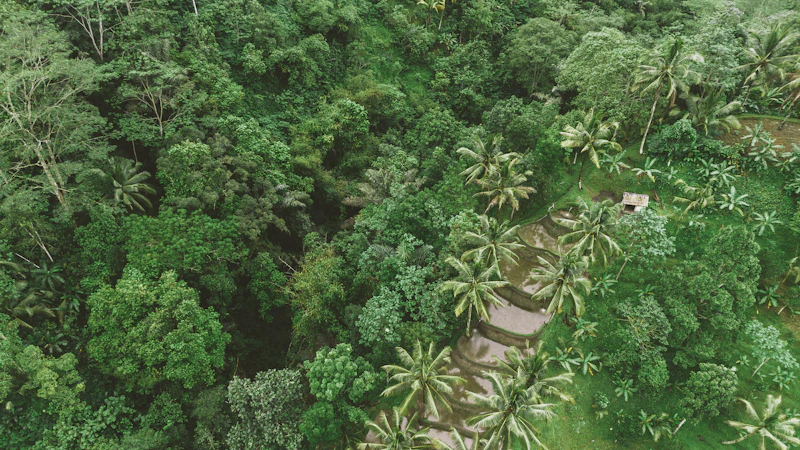magnet spiritual tanah arab berburu harta hijau nusantara