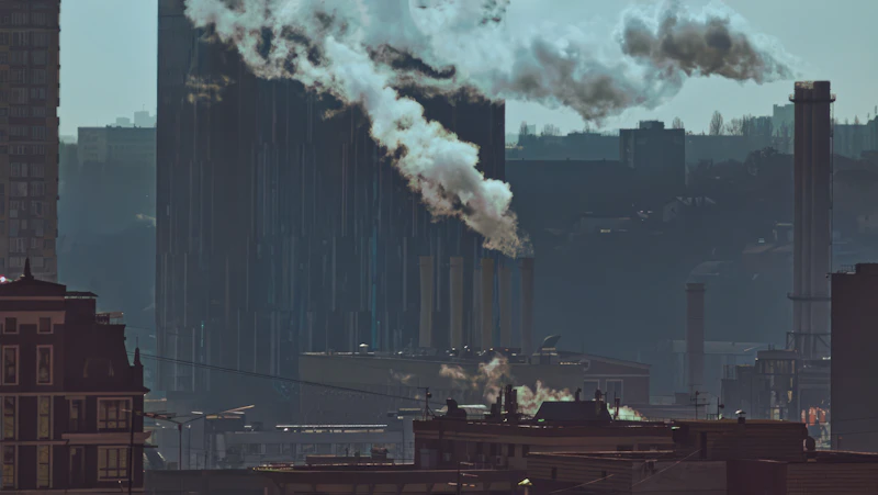 mandiri energi janji manis prabowo rakyat atau elit untung