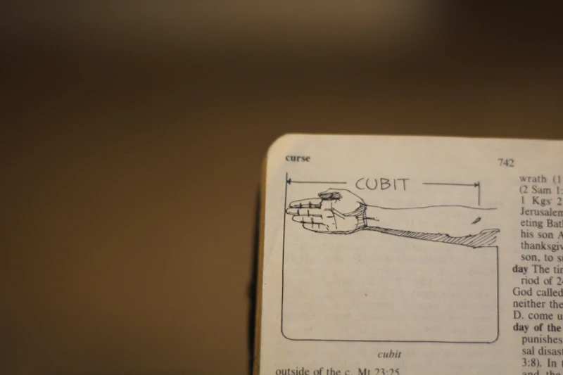 manuver hukum eks wamenaker hak warga atau hak istimewa