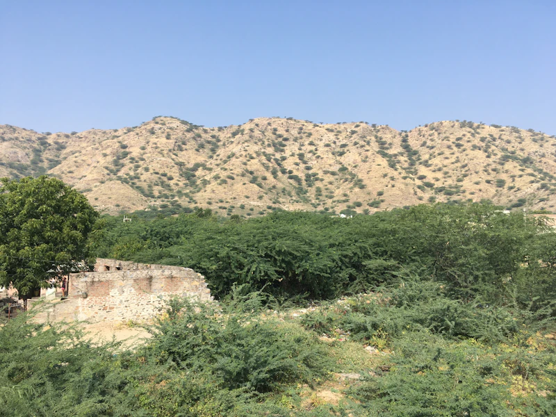 manuver lingkungan elit hashim pimpin satgas tn apa motifnya