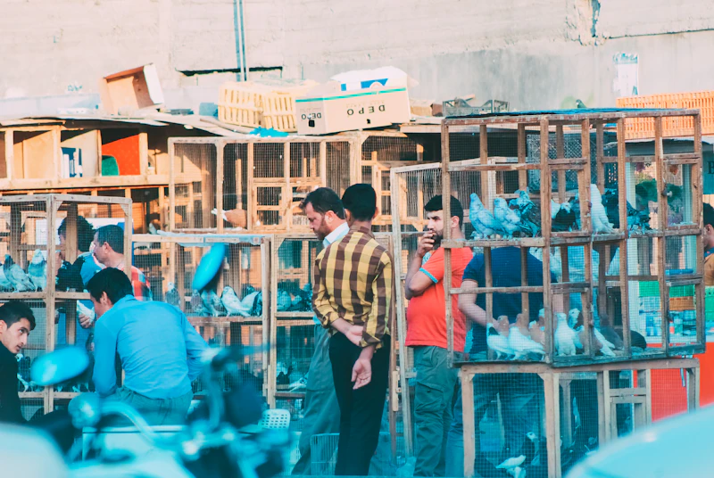 paradoks perang pesta di bunker saat iran menyerang