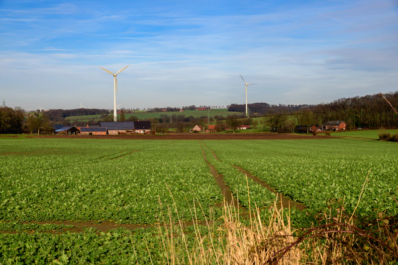 pipa gas 2 7 triliun mengalir siapa tertumpuk untung