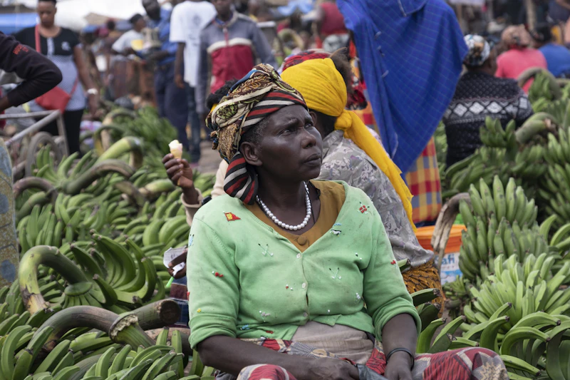 ribuan pickup india membanjiri desa antara asa dan tantangan ekonomi rakyat