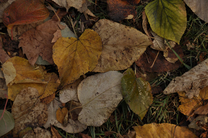 timur tengah membara serangan iran minyak tembus usd110