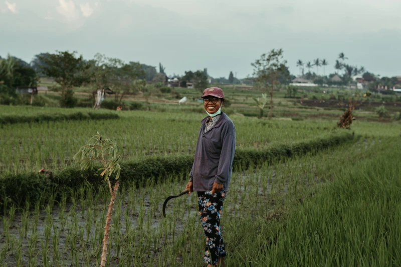 wamendes dan inisiatif mbg gairahkan petani desa