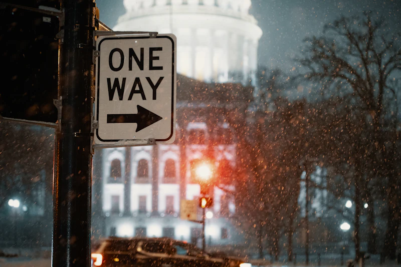 wfh asn efisiensi restu kekuasaan prabowo