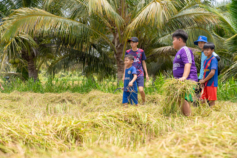 35 ribu formasi kopdes harapan atau sekadar angka