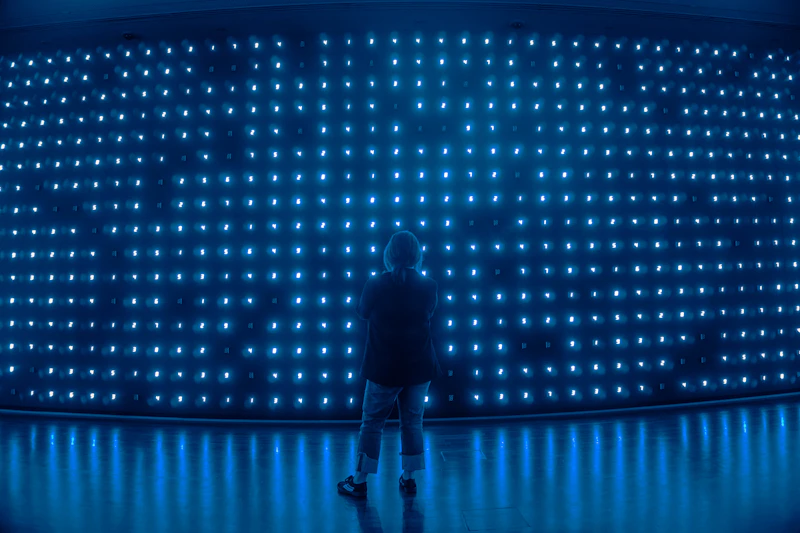 anak buah prabowo ungkap jurus hadapi gejolak global solusi atau ilusi