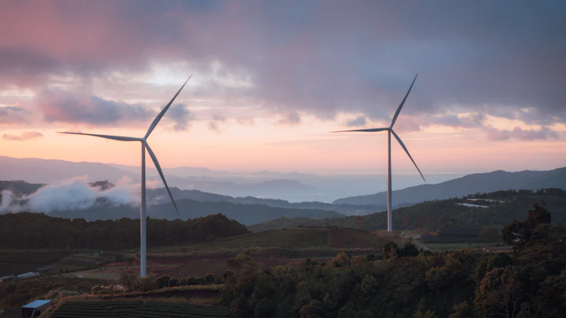 b50 solusi energi prabowo atau manuver elite sawit