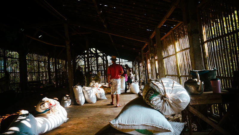 bantah gudang kosong amran sebut antek asing isu beras