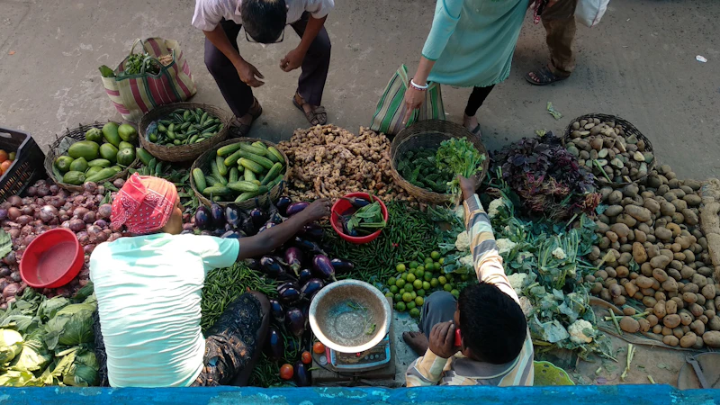 dominasi beras bulog kedaulatan pangan atau bisnis elite