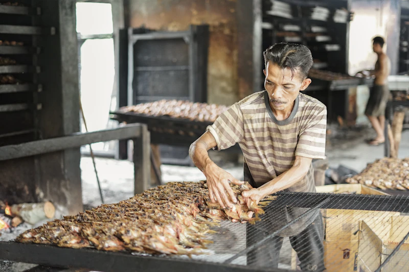 gibran blusukan pasar ikan produktivitas nelayan kunci