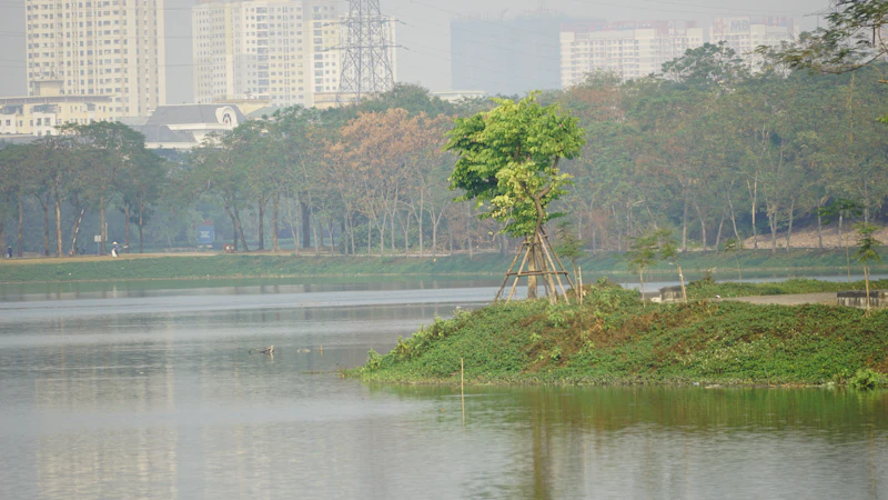ikan sapu sapu jakarta potensi ekonomi baru