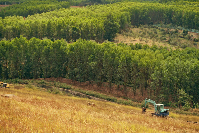 impor pikap india kopdes merah putih solusi umkm