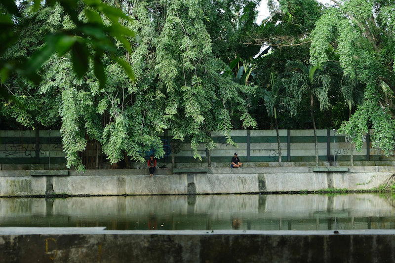 jakarta basmi ikan sapu sapu solusi atau simptom