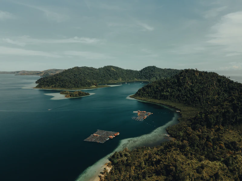 jejak minyak di timur kala tangki baru tak sekadar logistik