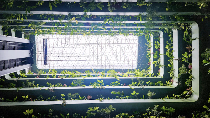 proper lebih dari sekadar apresiasi hijau perusahaan