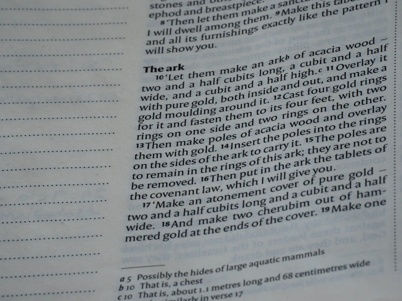 ratas elit beban rakyat proyek strategis siapa