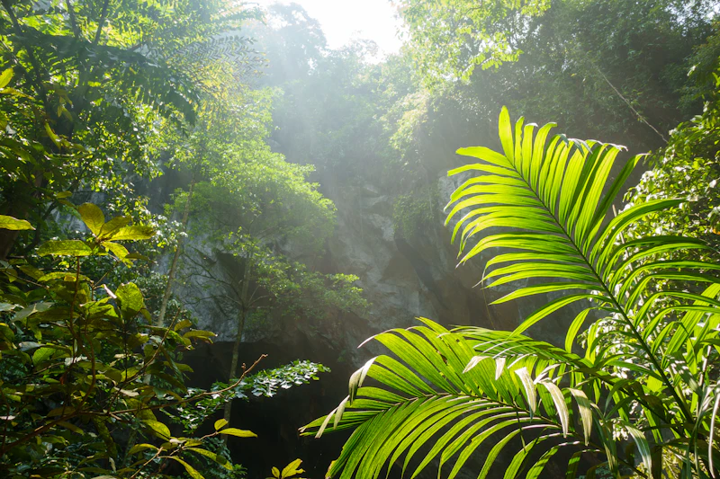 ritno kurniawan dari penebang kayu menuju pemandu ekowisata