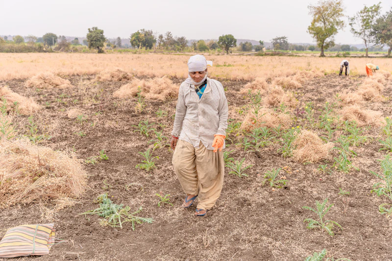 skandal pupuk palsu amran ungkap rugi triliunan petani