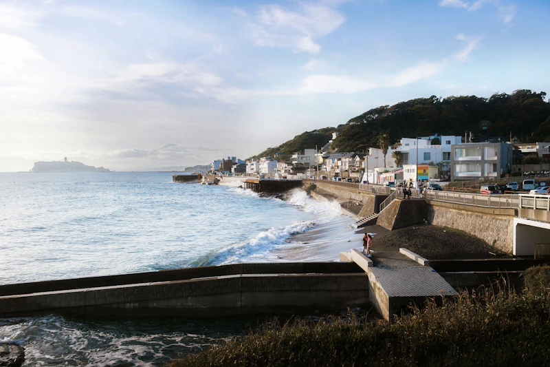 tanggul raksasa muara baru solusi atau ilusi