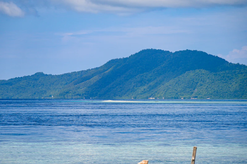 wfh jumat papua barat inovasi atau tantangan birokrasi