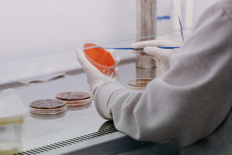 hantavirus vaksin covid hoaks konspirasi