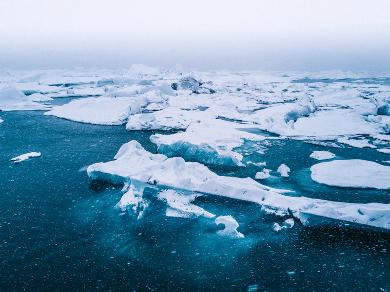 invasi senyap as greenland kedaulatan di ujung es siswa analisis