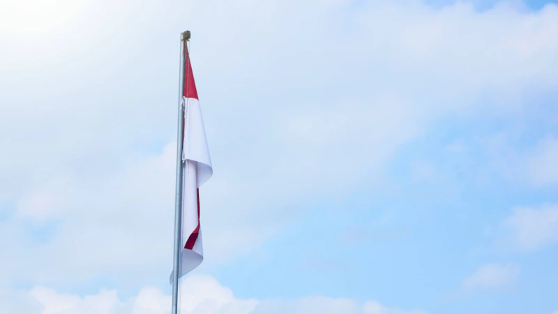 janji swasembada bbm prabowo realita atau narasi elit