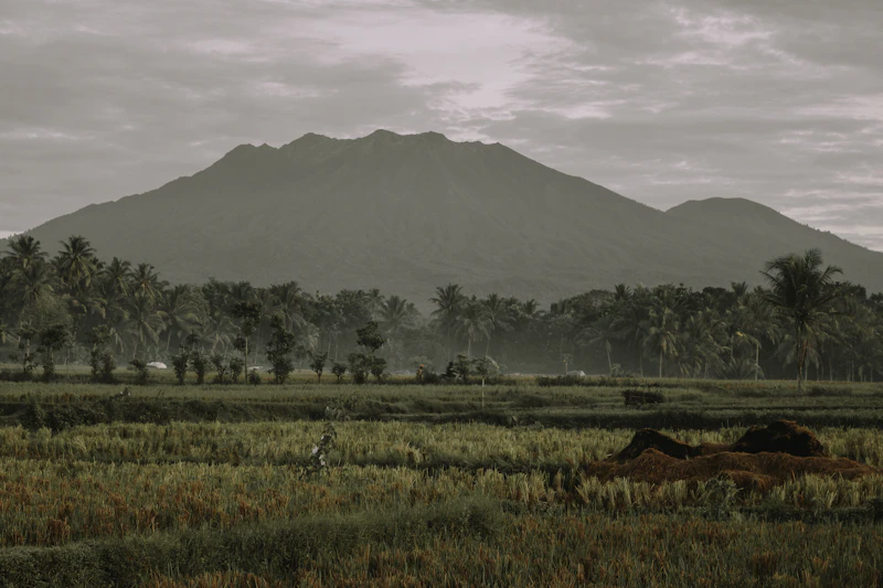 pupuk subsidi banyuwangi lancar ada apa dibaliknya