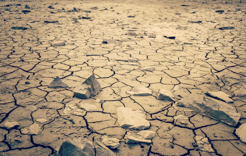 el nino 2026 dunia menyongsong krisis iklim rakyat jadi taruhan