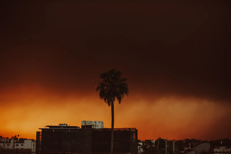 los angeles darurat api membara akuntabilitas menguap
