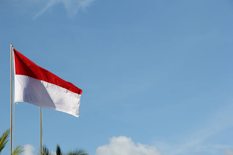 manuver prabowo chatib basri incar posisi purbaya ekonomi rakyat terjamin
