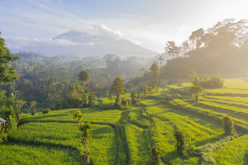 plts 100gw bahlil lahadalia strategi lahan energi terbarukan