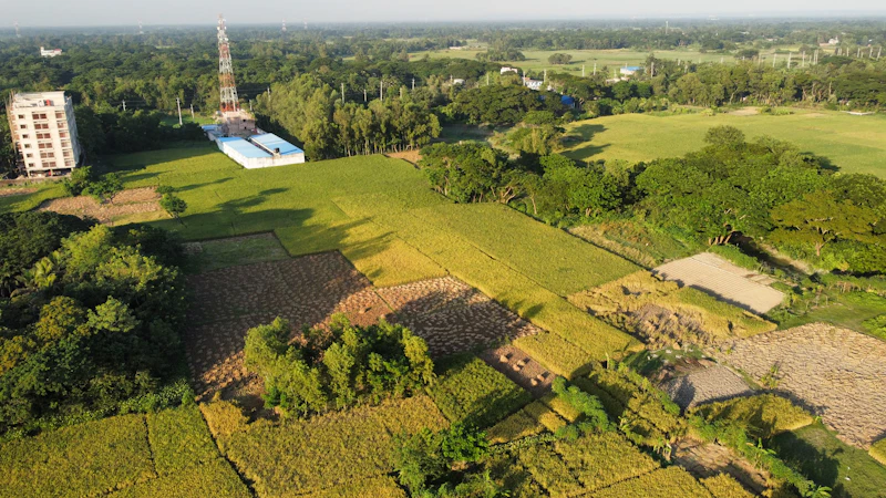 target rumah subsidi jauh panggang konflik lahan kian krusial siswa