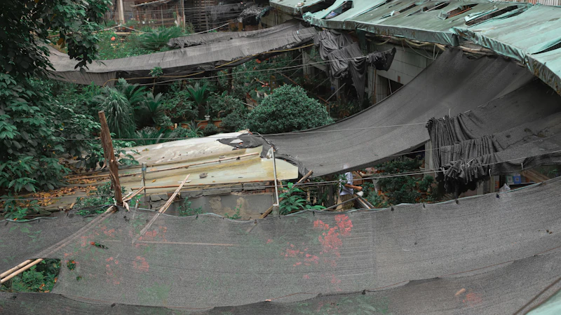 venezuela gempa m7 5 chaos krisis kemanusiaan pemerintah abai
