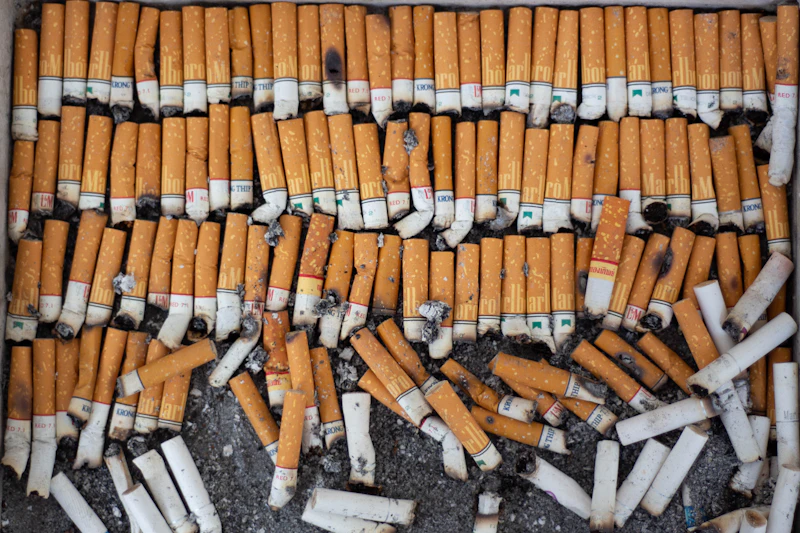 desain rokok seragam ancaman nyata fiskal dan phk