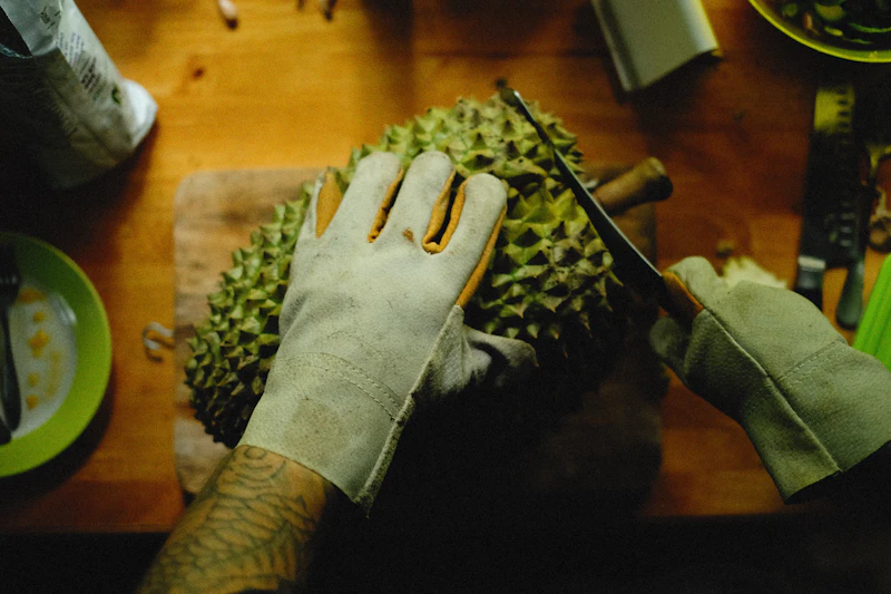 durian manis korupsi pahit wakil menteri tertangkap