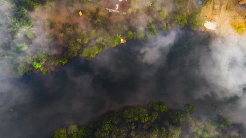 kebakaran hutan hanguskan ribuan hektare siapa diuntungkan
