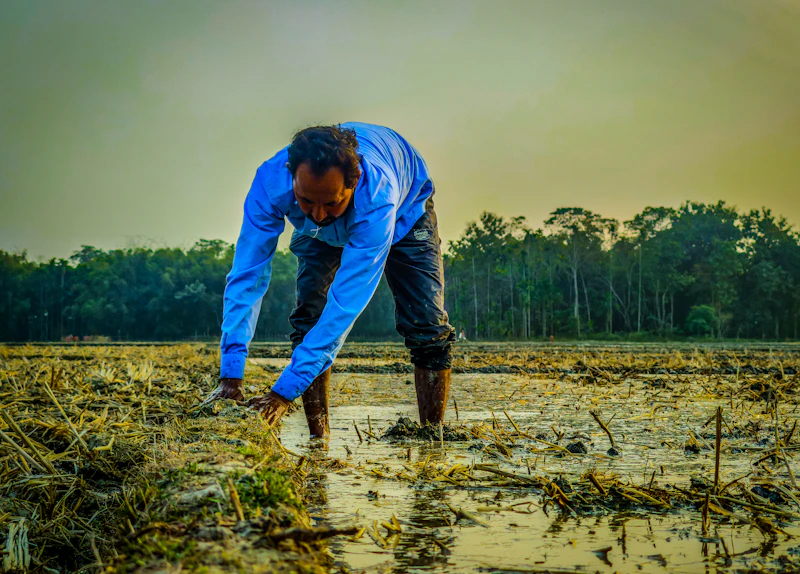 krisis air petani beralih budidaya kaktus solusi adaptif kritik kebijakan