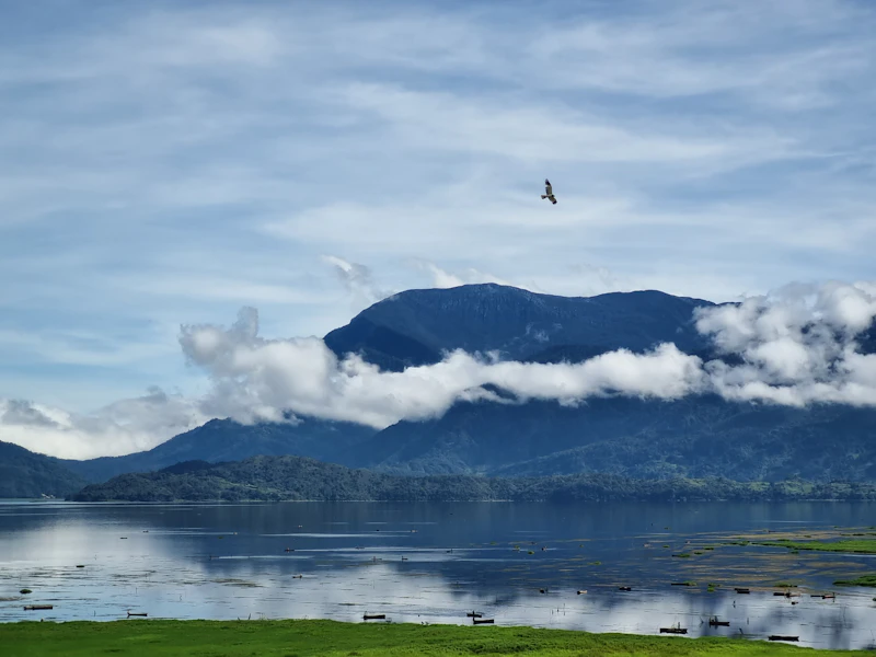 papua bergolak pilot as disandera analisis siswa