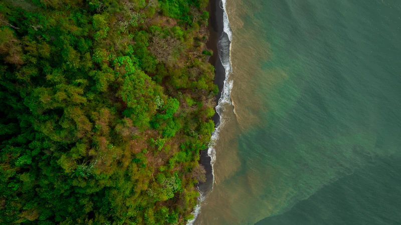 pulau emas indonesia berkah atau petaka baru