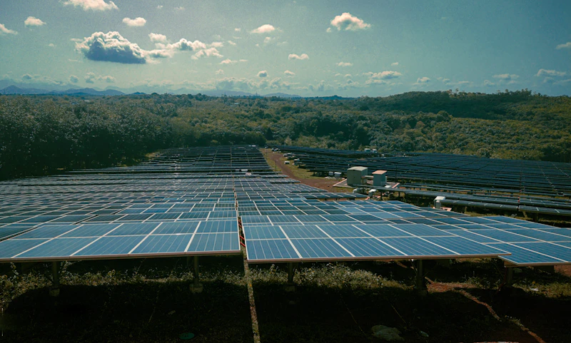 sinar harapan lahan bekas luka ptba pnre dilema transisi energi
