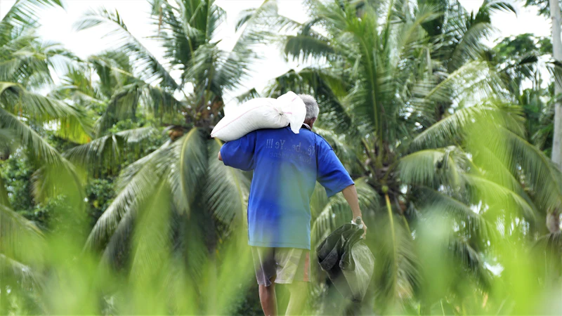 b50 janji manis petani sawit lapor pak kesusahan
